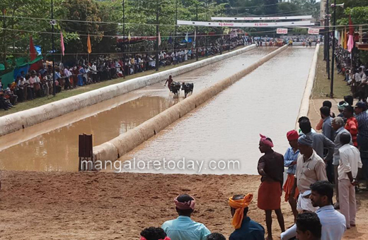 kot chennai jodu kere kambla